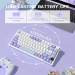 Клавиатура механическая  беспроводная Bluetooth / 2,4 AJAZZ AK820 Pro Flying Fish Switch / с подсветкой RGB / 4000 мА·ч / Раскладка 75% (Purple White Blue) (19569)