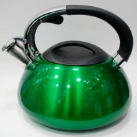 Чайник металевий Giakoma G-3303 3L (Green)