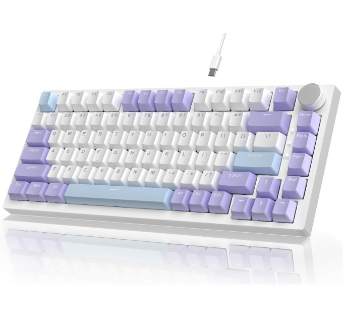 Клавиатура механическая AJAZZ AK820 Sea Salt Switch / с подсветкой RGB / Раскладка 75% ( (Blue White Purple) (19571)