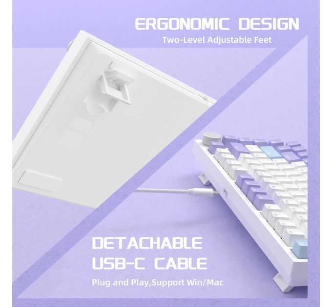 Клавиатура механическая AJAZZ AK820 Sea Salt Switch / с подсветкой RGB / Раскладка 75% ( (Blue White Purple) (19571)