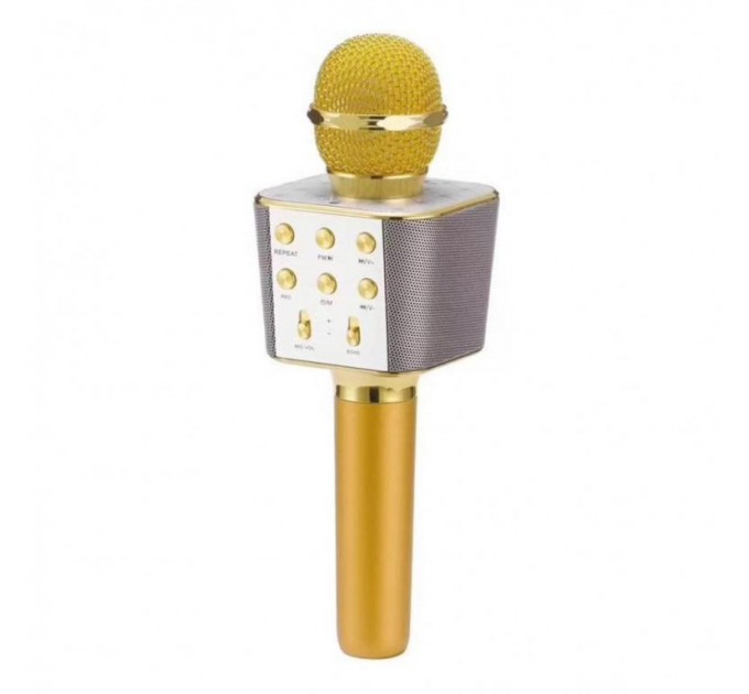 Микрофон для караоке WSTER WS-1688 (Gold)