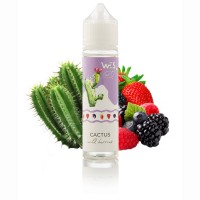 Жидкость для электронных сигарет WES ART ™ Cactus 0 мг 60 мл (Кактус + ягоды)