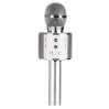 Микрофон для караоке WS 858 (Silver)
