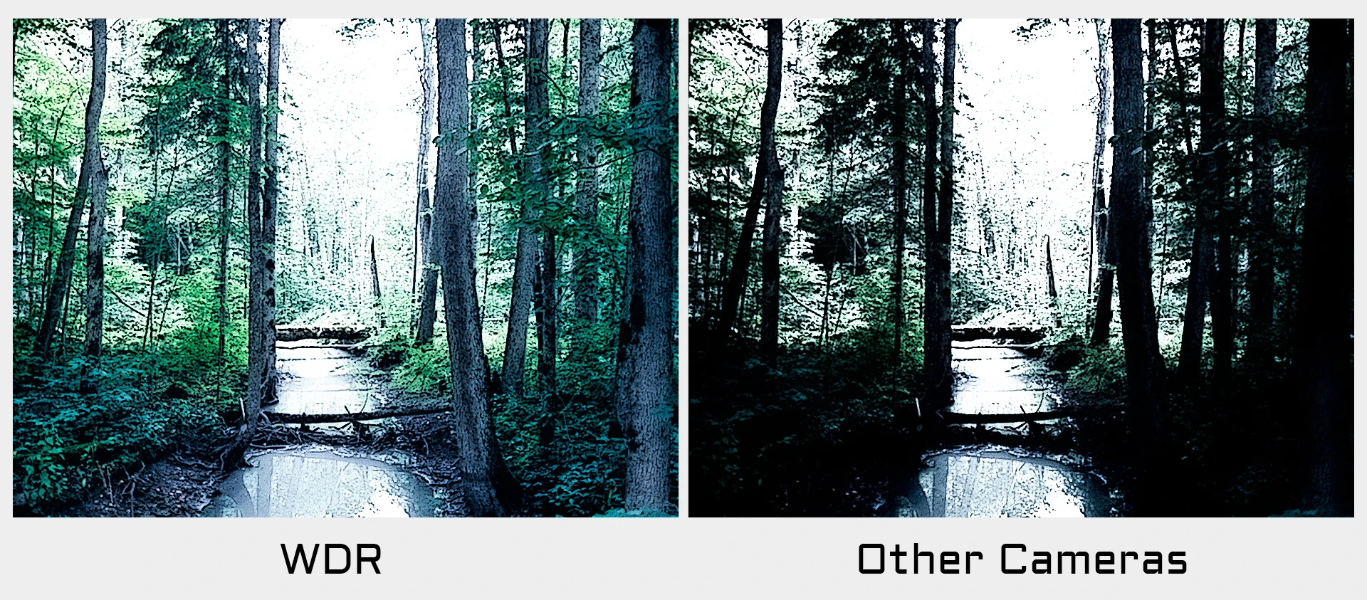 Камера для FPV дронов CADDX Ratel Pro 1500 TVL із Starlight WDR Ночная съемка (Black) (18776)