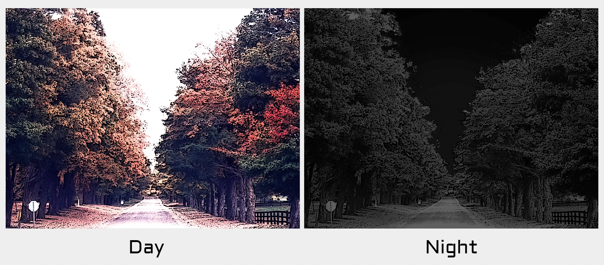 Камера для FPV дронов CADDX Ratel Pro 1500 TVL із Starlight WDR Ночная съемка (Black) (18776)